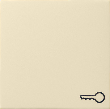 GIRA Wippe mit Symbol "Schlüssel" - cremeweiss glänzend 028701