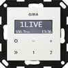 GIRA Radio Unterputzmontage - Bedienfläche Reinweiss glänzend - 228403
