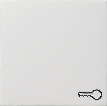 GIRA Wippe mit Symbol "Schlüssel" - reinweiss glänzend 028703