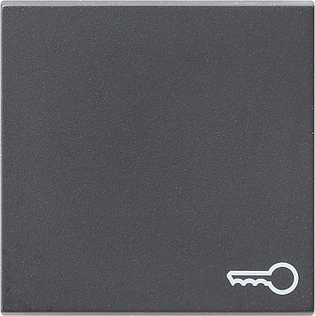 GIRA Wippe mit Symbol "Schlüssel" - Anthrazit 028728